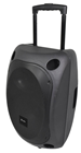 12 Portable PA System with UHF Mics 